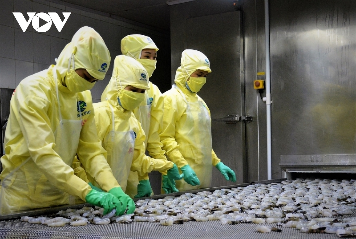 Australia increases shrimp import from Vietnam